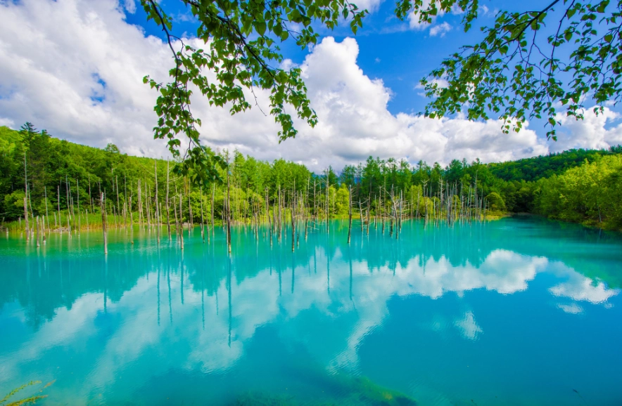 北海道租車價格