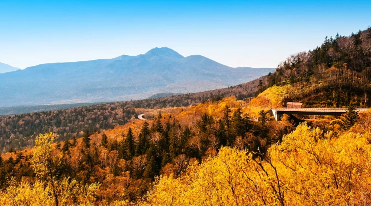 北海道交通攻略