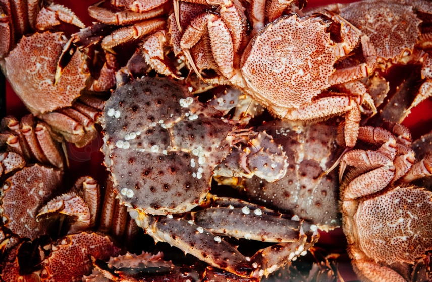 函館海鮮吃到飽