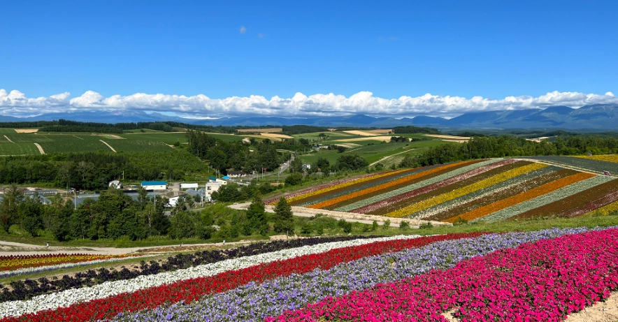 北海道自駕攻略