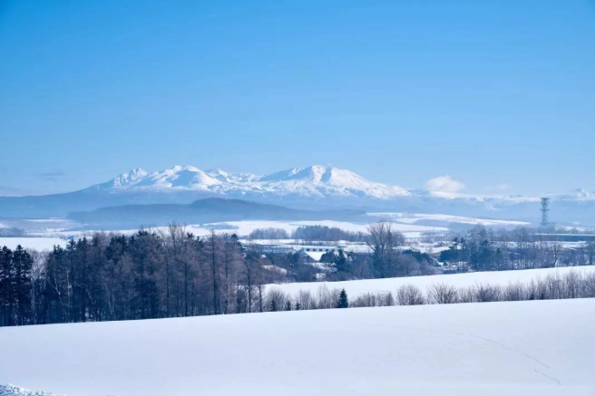 北海道雪地驾驶