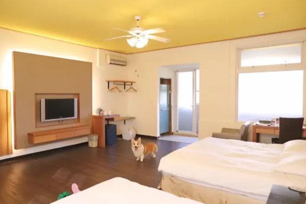 台中帶寵物住宿