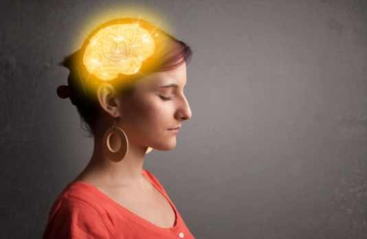 高敏感大腦定義