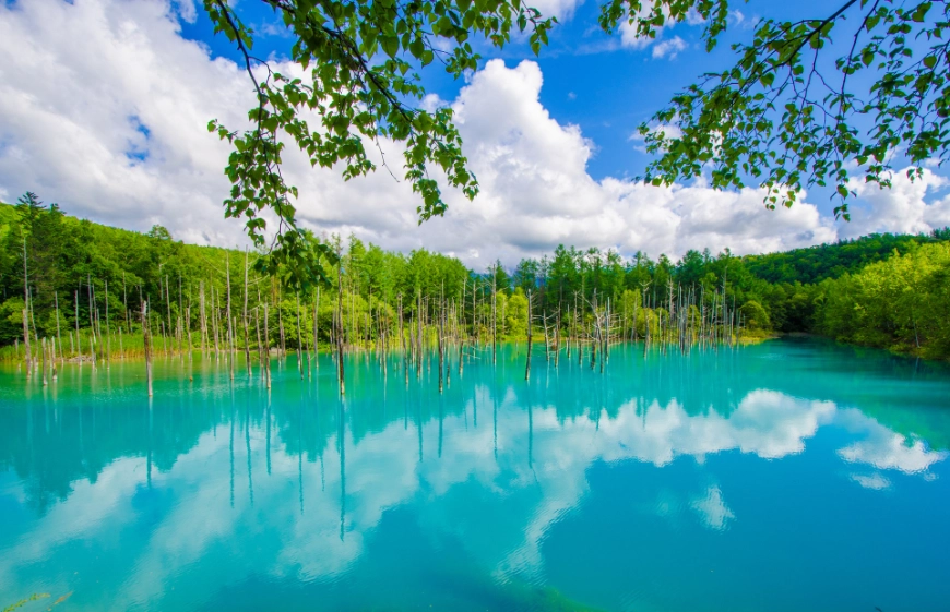 北海道自駕攻略