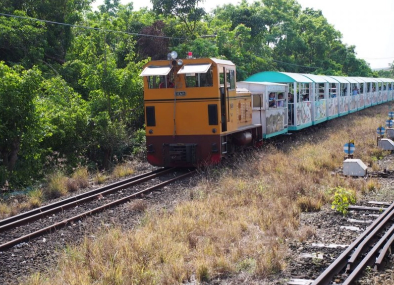 新營五分車 觀光
