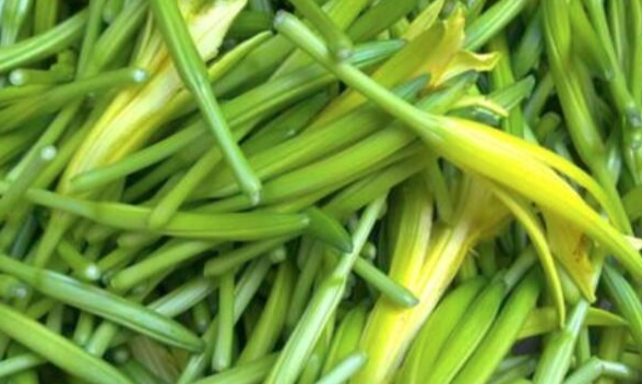 金針菜處理方法