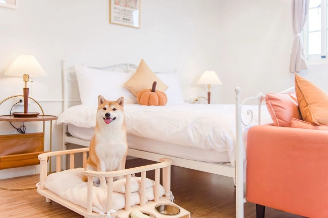 台中帶寵物住宿