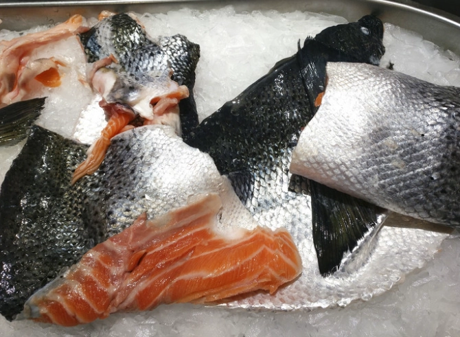 急凍三文魚蒸多久 急凍三文魚蒸多久