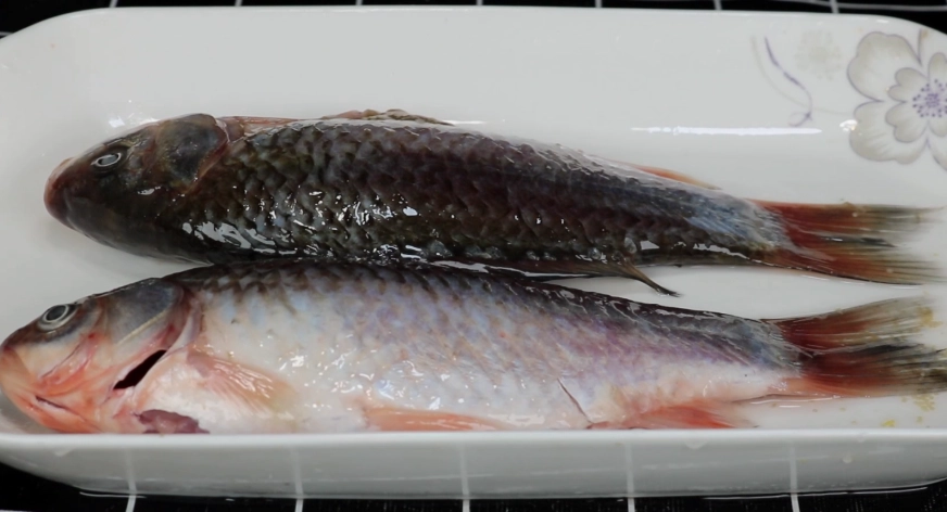 魚退冰後保存期限