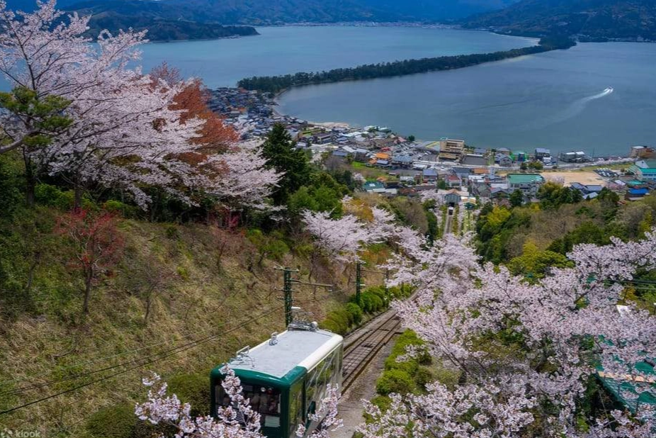 天橋立伊根交通 天橋立伊根交通