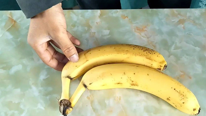 香蕉為什麼容易爛