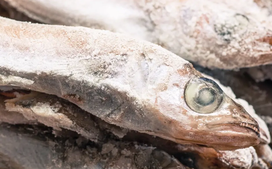 魚退冰後保存期限