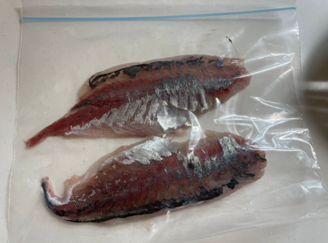 生食蝦解凍技巧