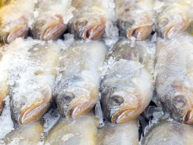 冷凍魚退冰方法