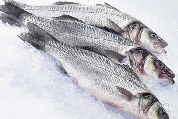 魚退冰後保存期限