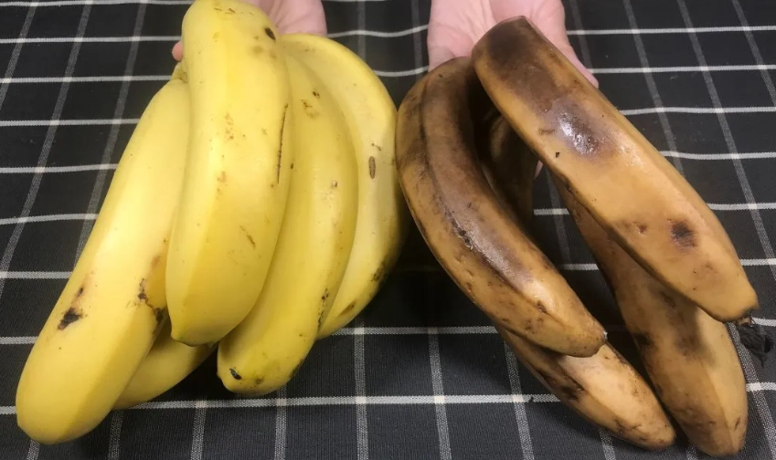 香蕉為什麼容易爛