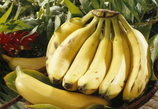 香蕉保存方法