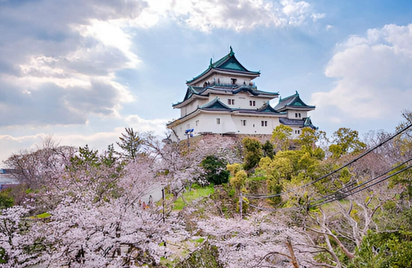 和歌山交通攻略