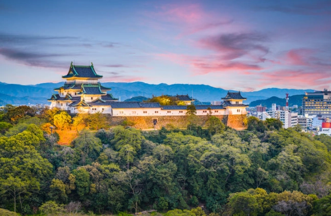 和歌山冬天雪況 和歌山冬天雪況
