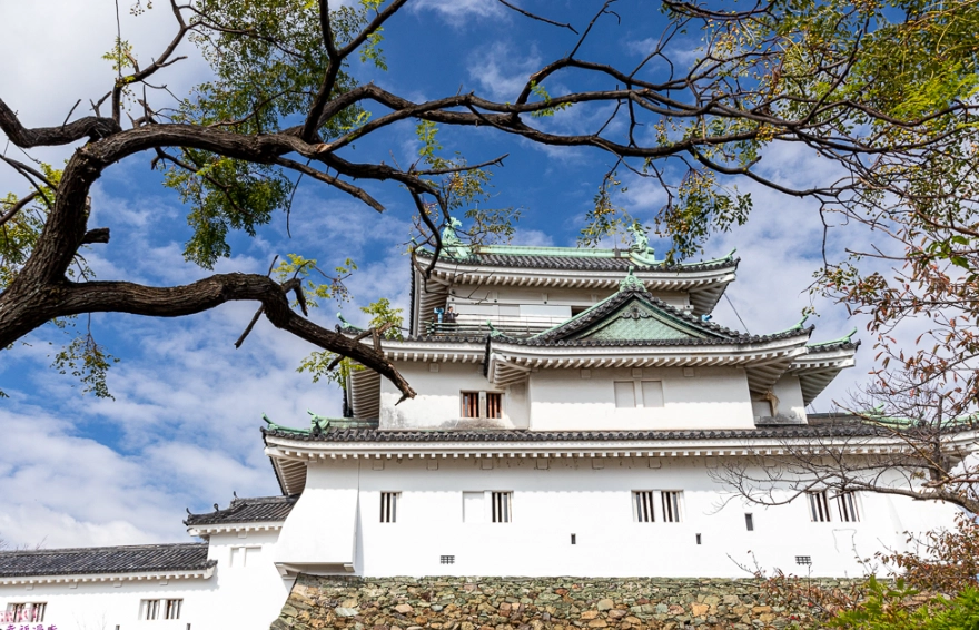 大阪到和歌山怎麼去