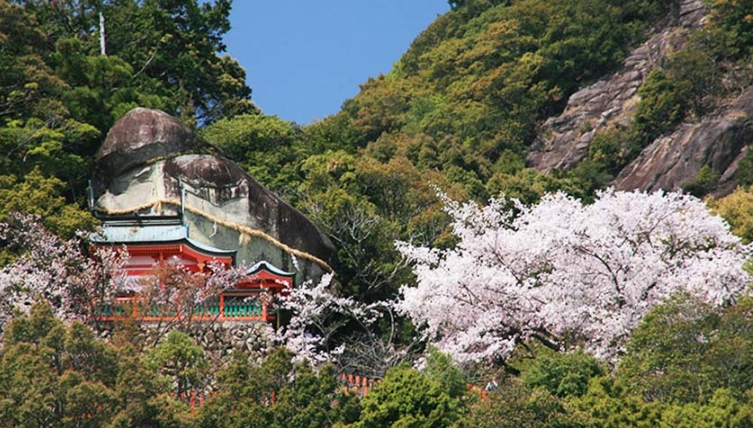 和歌山車票價格