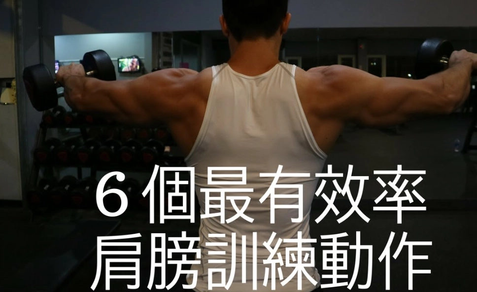 肩部訓練計劃