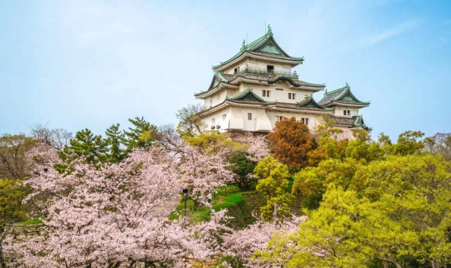 大阪到和歌山交通