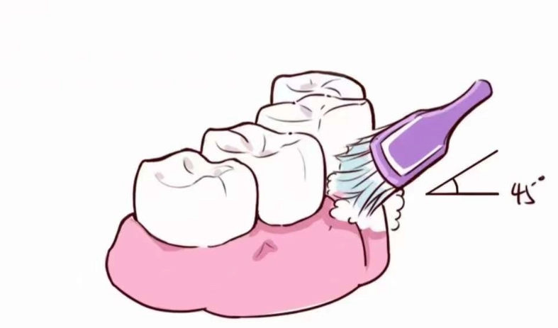 貝氏刷牙法步驟