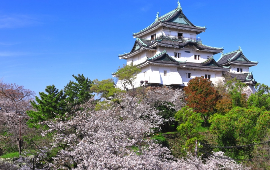 和歌山交通方式