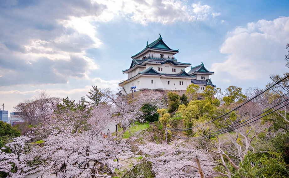 和歌山交通攻略