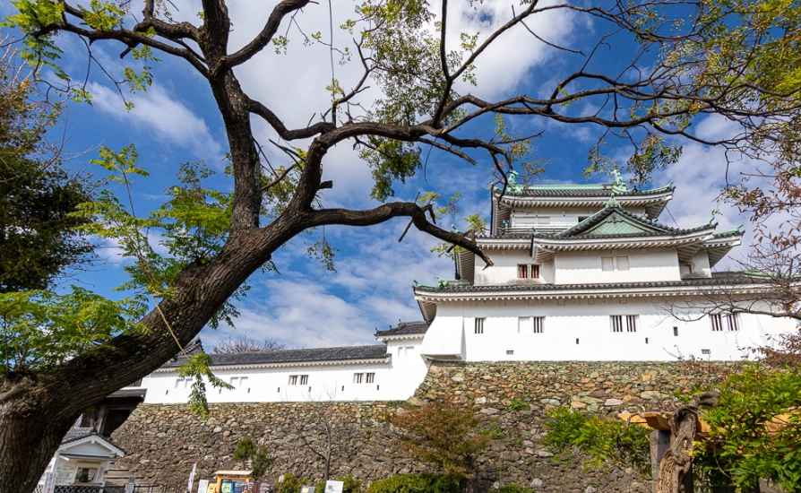 和歌山一日遊行程