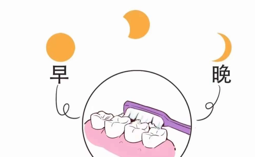 正確口腔清潔步驟