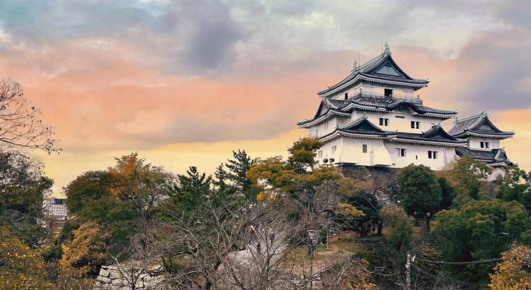 大阪到和歌山怎麼去