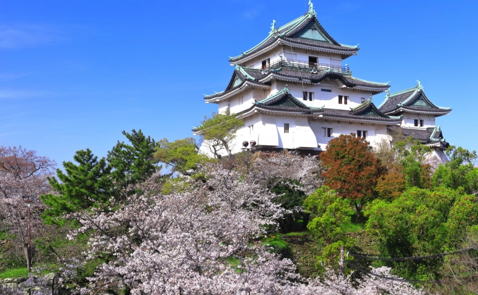 和歌山冬季旅遊 和歌山冬季旅遊