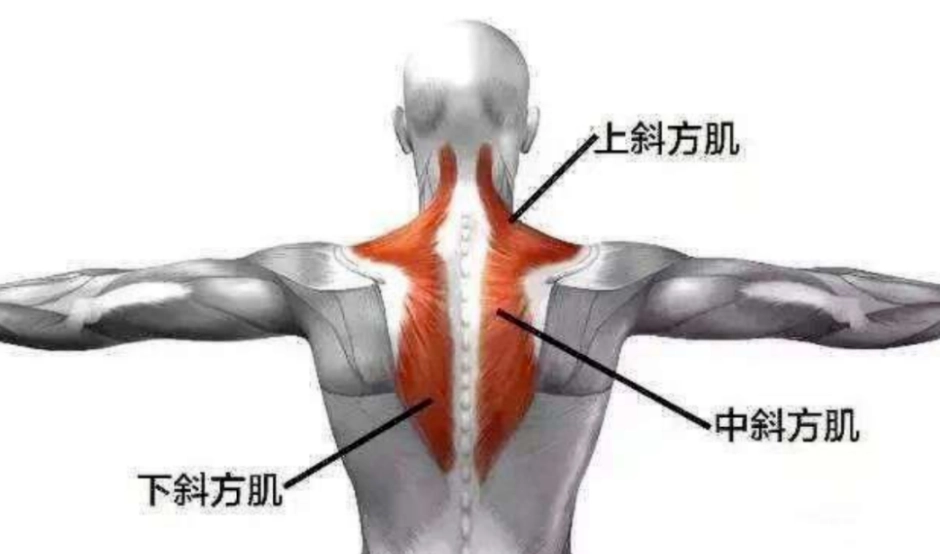 肩頸酸痛解決 肩頸酸痛解決