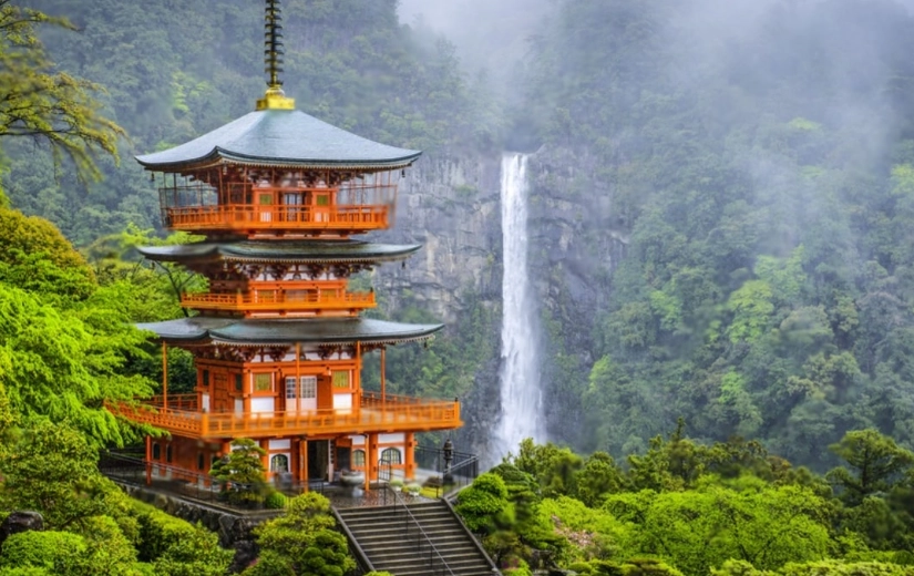 大阪和歌山交通