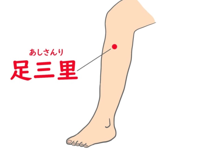 脂肪肝中醫治療