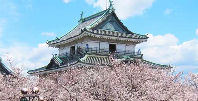 大阪到和歌山交通