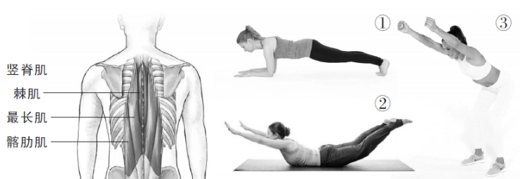 背部肌肉放鬆