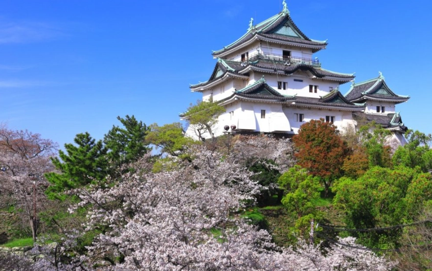 和歌山一日遊行程