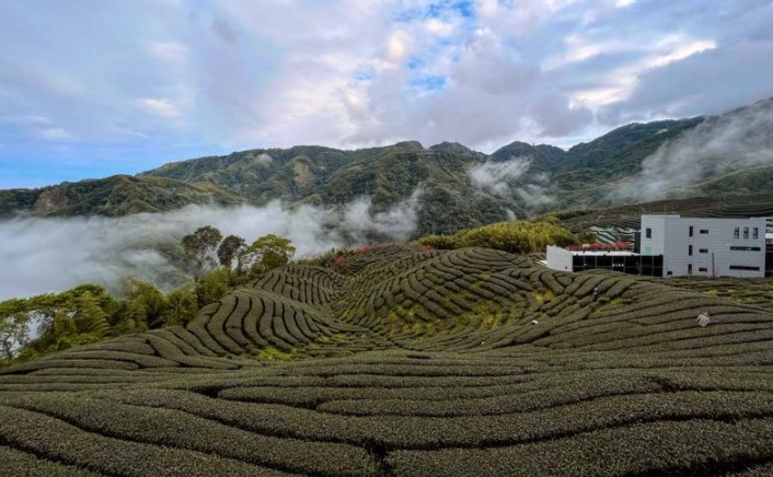 最適合居住的鄉鎮