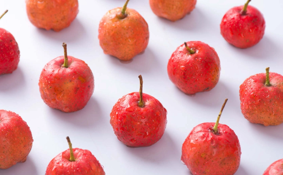 脂肪肝中醫治療