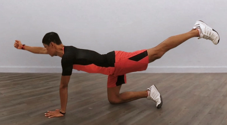 下背肌群鍛鍊 下背肌群鍛鍊