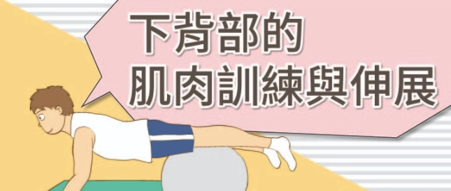 下背痛訓練 下背痛訓練