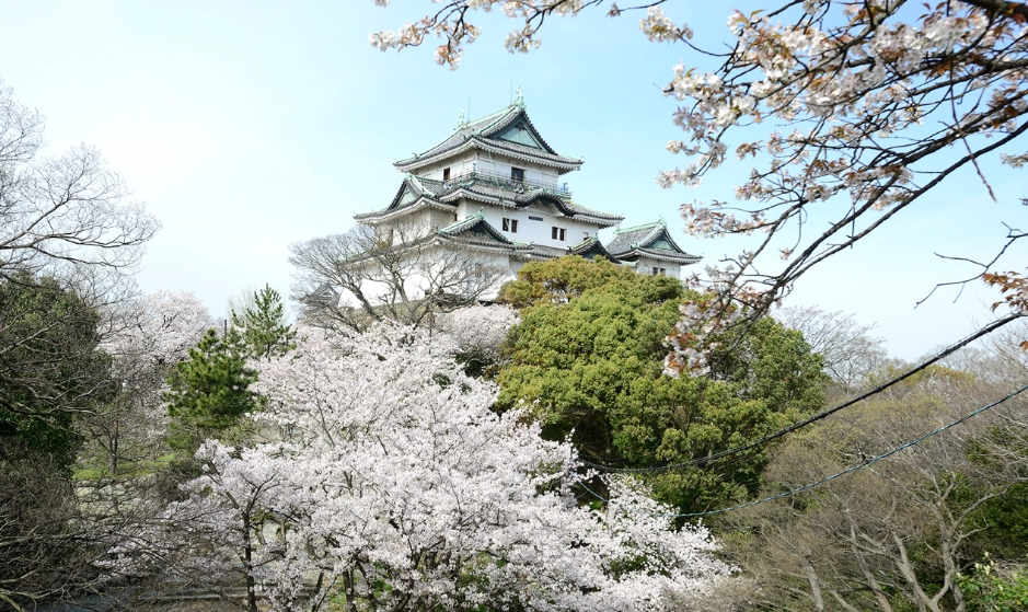 和歌山一日遊行程