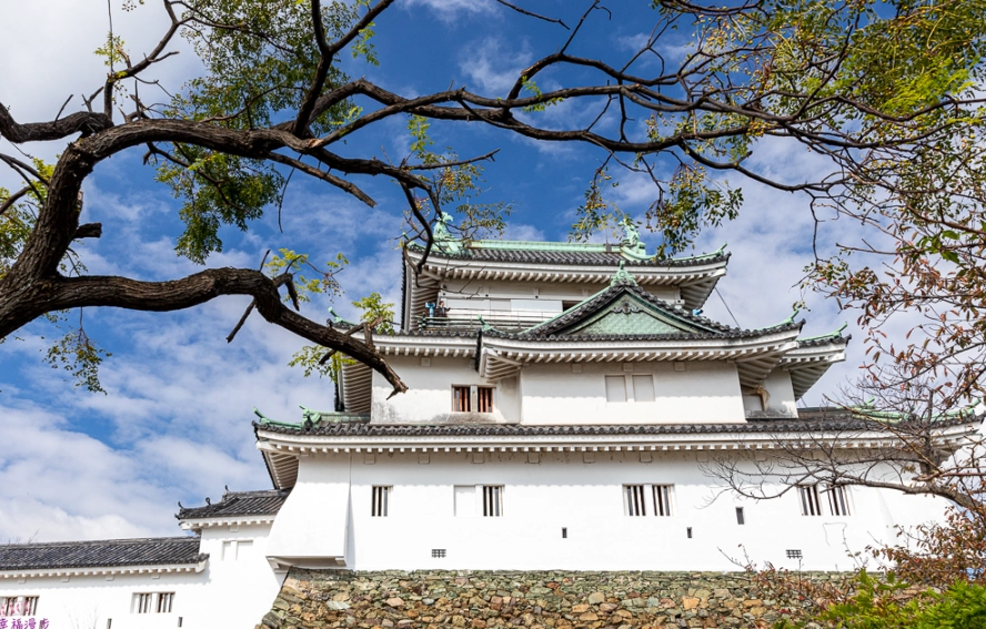 和歌山自由行交通