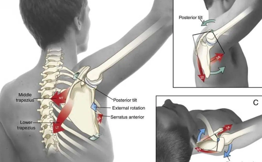 斜方肌放鬆方法