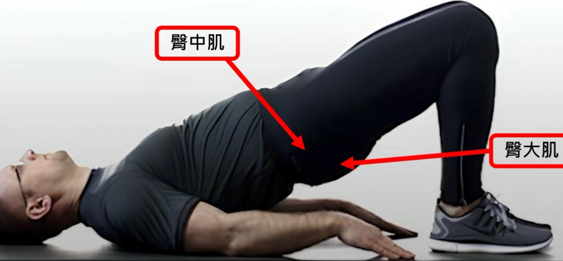 下背部訓練 下背部訓練