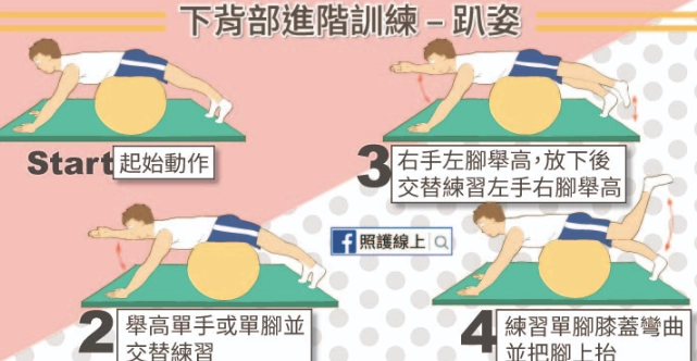 下背肌群鍛鍊 下背肌群鍛鍊