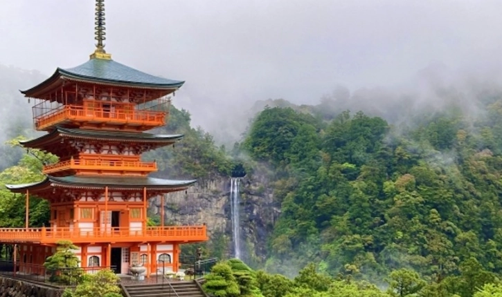 大阪到和歌山怎麼去